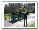 Pam watching horse and cart arrive